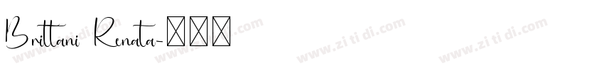Brittani Renata字体转换